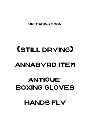 Annabyrd Item : Antique Boxing Gloves : Hands Fly
